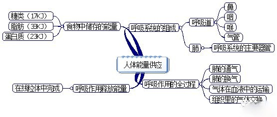 初中生物:七年级上册课本思维导图(暑期预习)