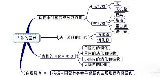 第8章 人体的营养