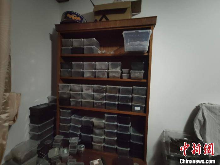 买卖|男子住宅饲养上千只蜘蛛被举报 涉买卖濒危野生动物被查
