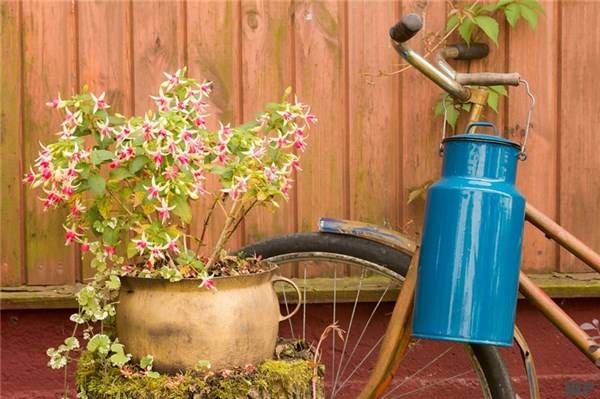 走过|走过的路，看过的风景，都是你的人生