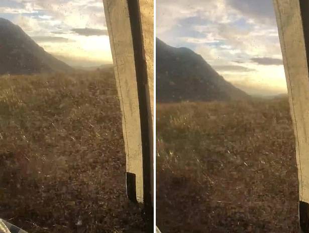 高地|英国摄影师露营时遇成千上万只蠓虫 无法走出帐篷