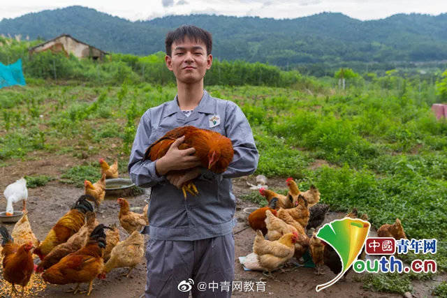 郭晨|大学生为鸡套上“脚环”记录步数 带动农户增收近4倍