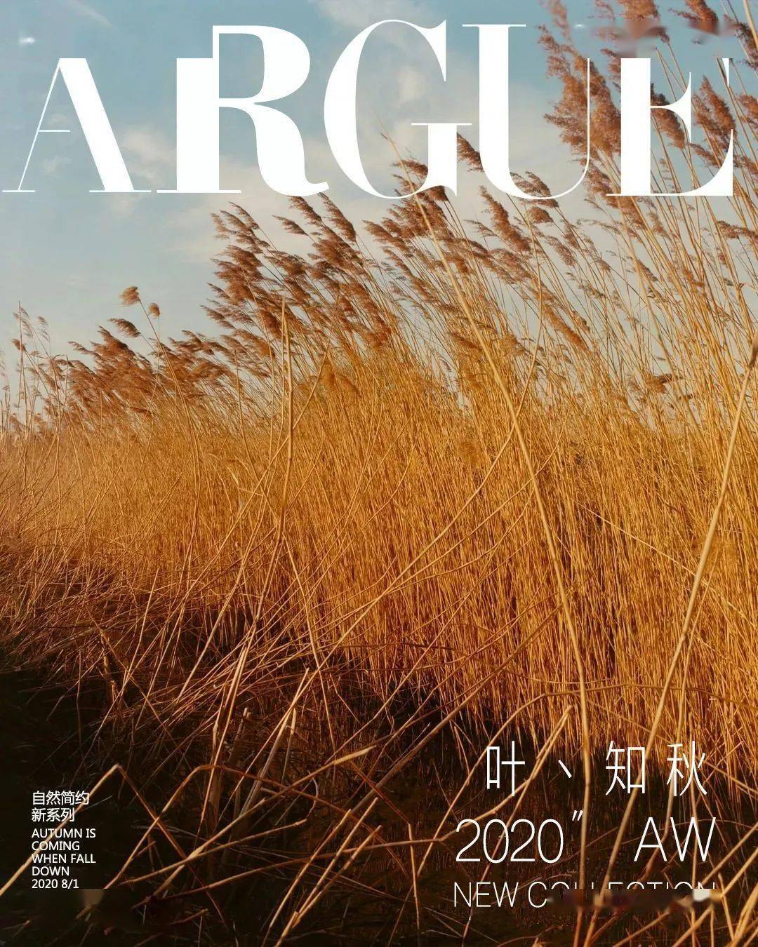 argue|新品预告