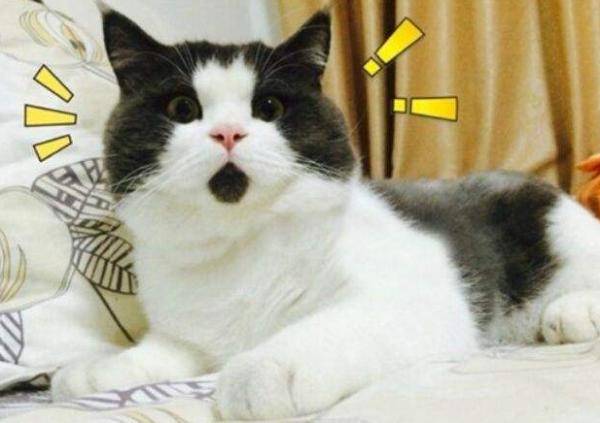 女儿|紧急寻人！山东一12岁女孩失联6天，有人称曾在火车站见到她！