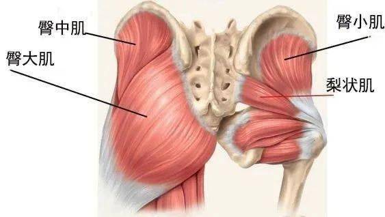 超简单的臀部训练,适合久坐和臀部外侧凹陷人群_手机搜狐网