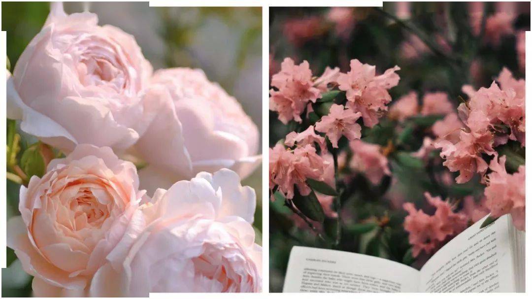 小时|倒计时24小时，准备好迎接七夕了么？