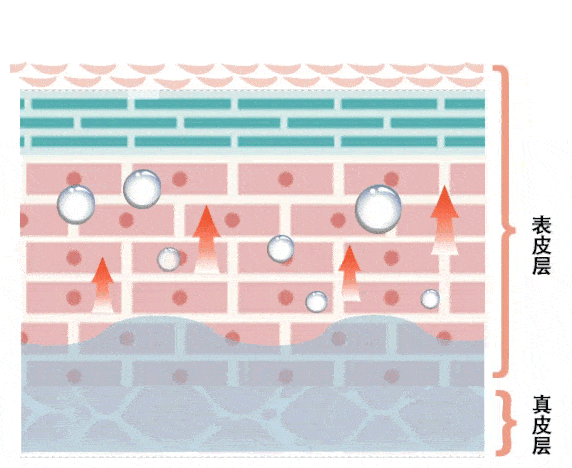 脸蛋|你的脸蛋“一键美颜”,除了滤镜还靠什么?