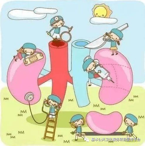 患者|【健康教育处方】泌尿系统常见疾病健康教育处方