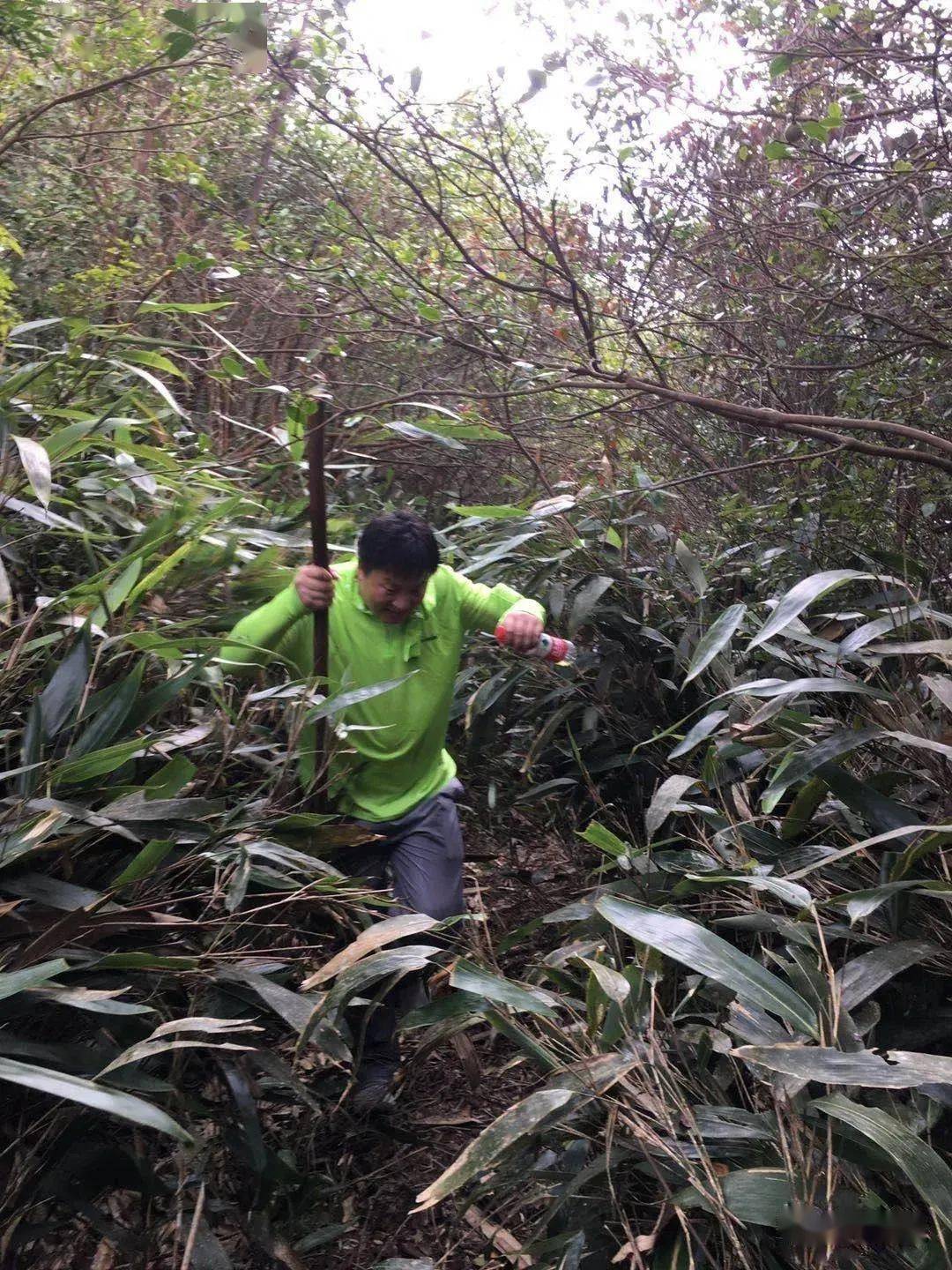 永嘉各镇经济总量_永嘉书院图片(2)