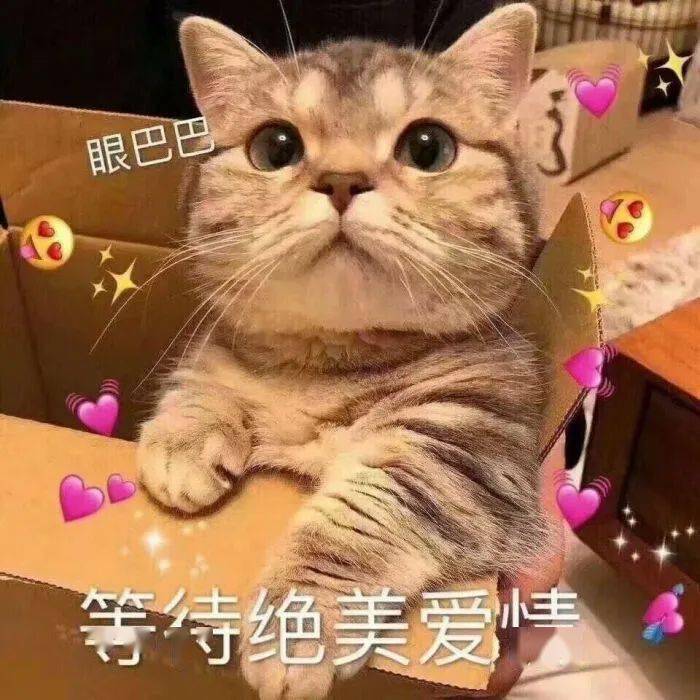 七夕|沙雕单身文案