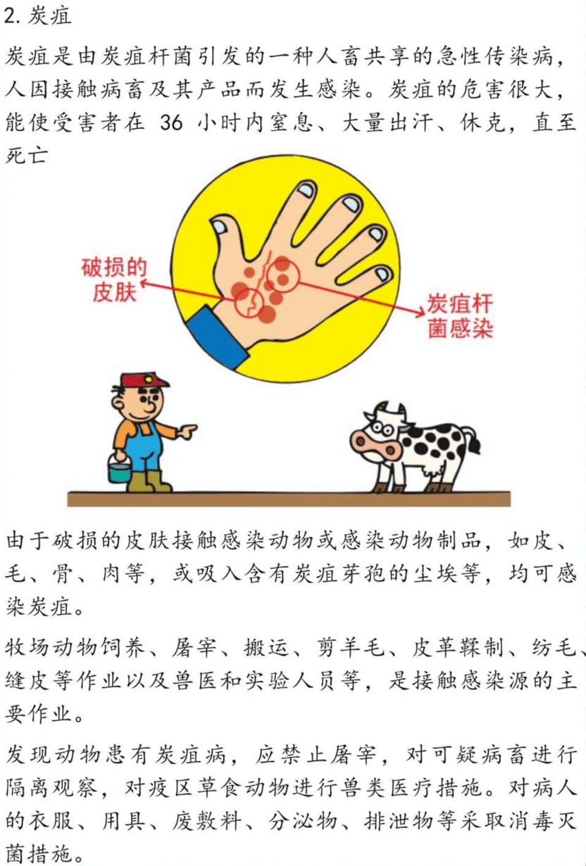 666d8d8ed1dd4c0fb723644ccbd96737.png