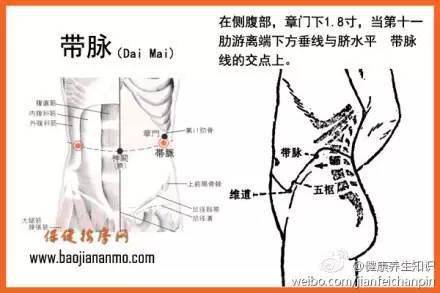 "带脉"堵塞的人就会腹部肥胖