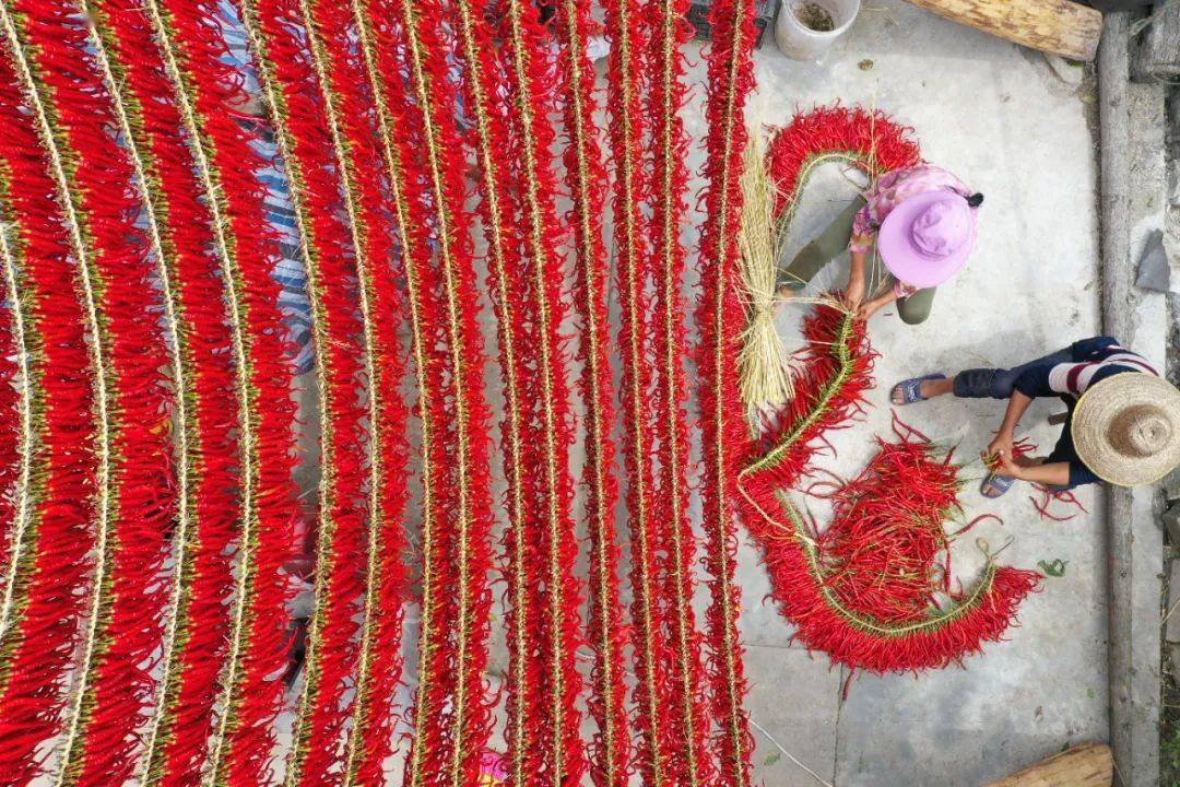 毕节地区有多少人口_毕节地区地图全图