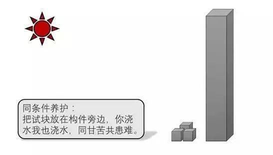 混凝土为什么叫“砼”?80%的工程人不知道来历!