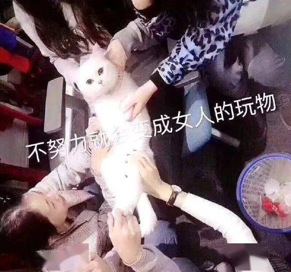 三编丨不努力就会成为女人的玩物 但是我又没有那么可爱!
