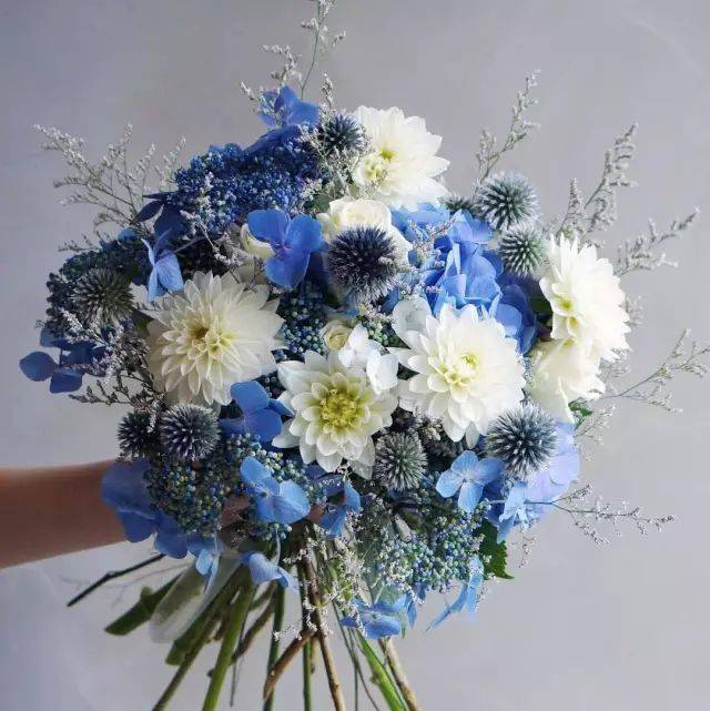 最美的花视频素材 2b3d74c38de548be9500dbc66b2ccd36.jpeg