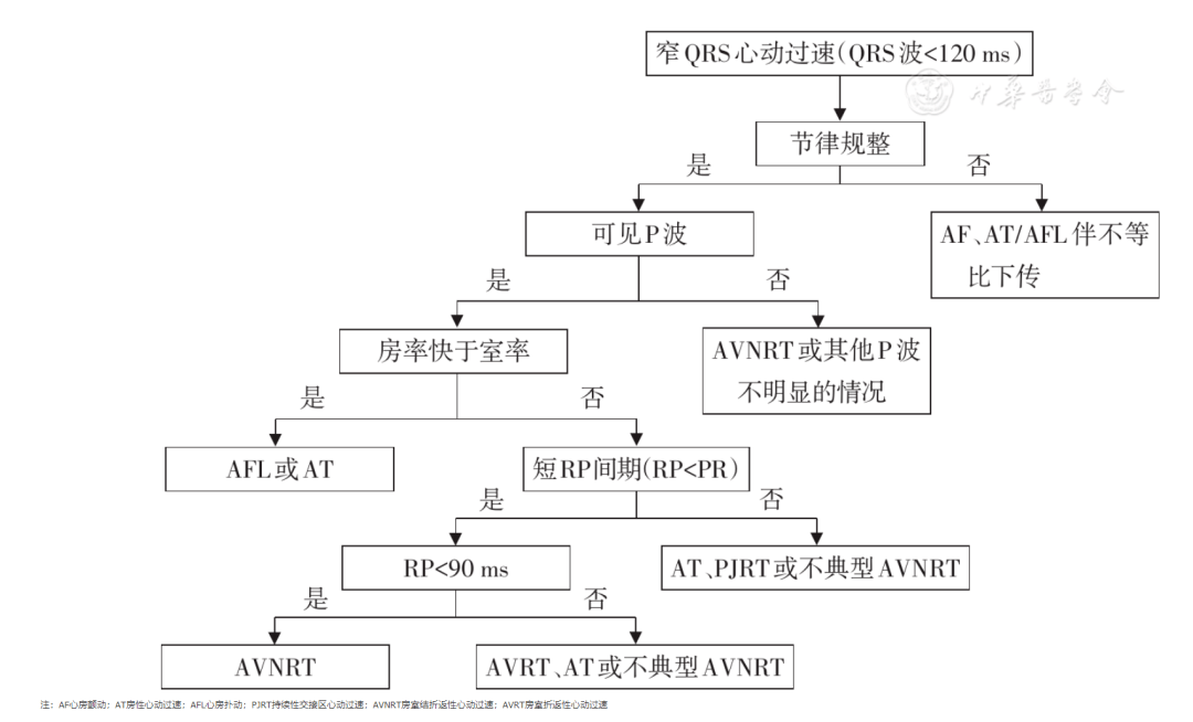 心房扑动,房性心动过速,持续性交接区心动过速(permanent junctional