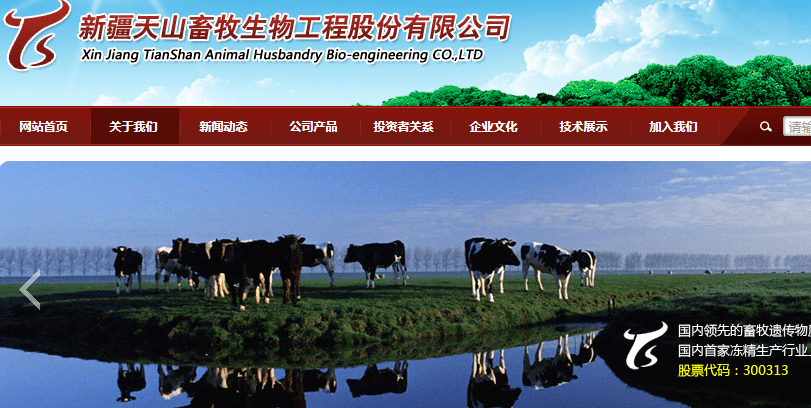 亏损|七连板后，A股最火股票停牌核查，上半年继续亏损，炒作即将终结？