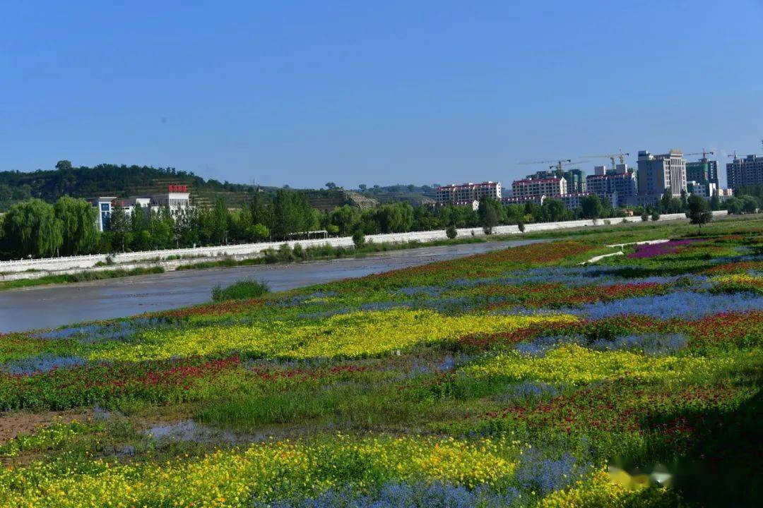 静乐汾河湿地公园吸引太原游客前来,面对美景都在连连