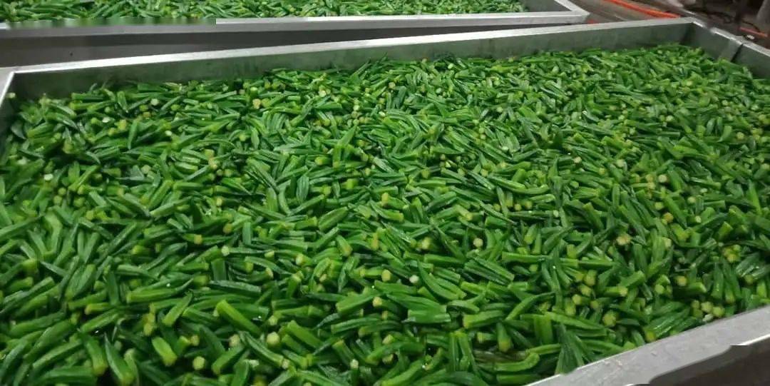 口感|12种口味征服你挑剔的味蕾！帮你扔掉垃圾食品！健康营养的综合果蔬脆