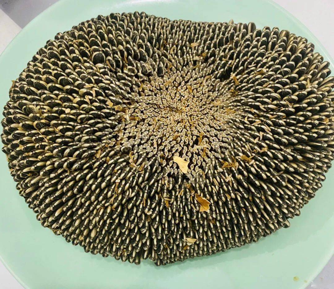 零食|好玩又好吃，网友却看得头皮发麻…姑娘自制零食