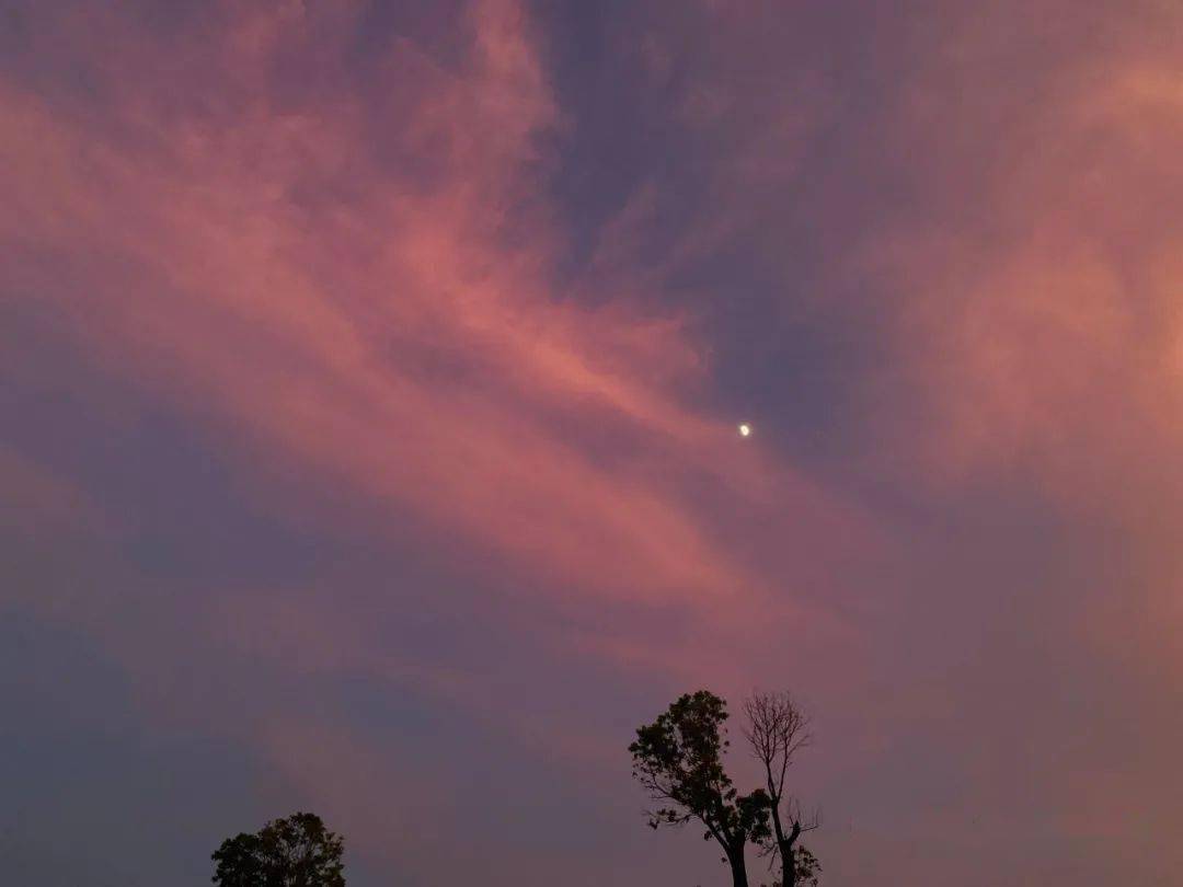 双肩包|四年了,我终于找到了好看耐用的完美双肩包!