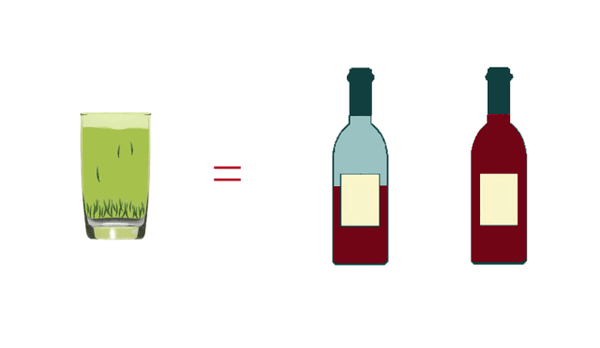 数据|一杯茶的营养价值大数据告诉你