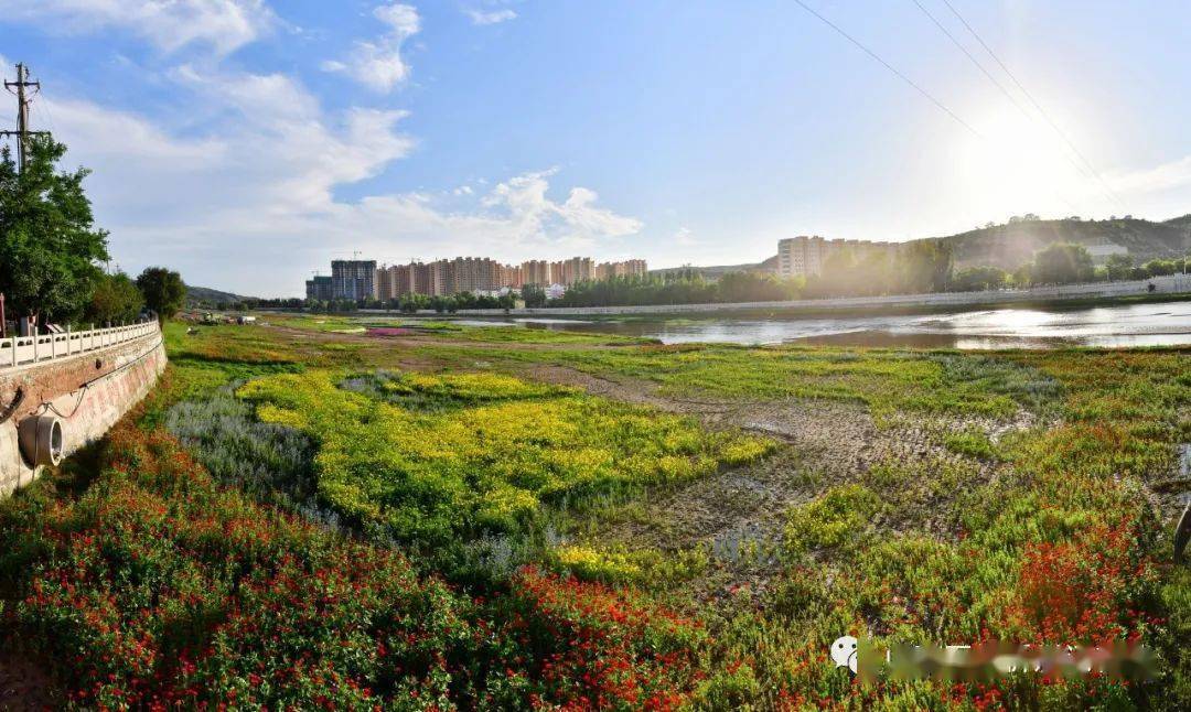 静乐汾河湿地美景诱人_静乐县