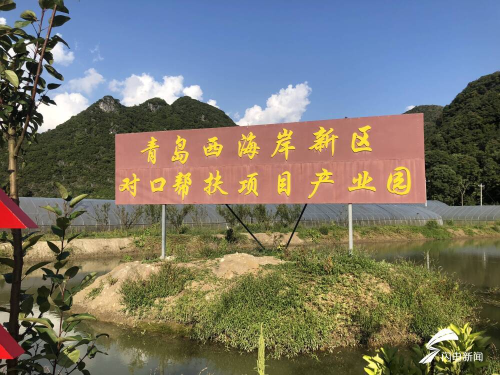 歪寨村人口_人口普查(2)