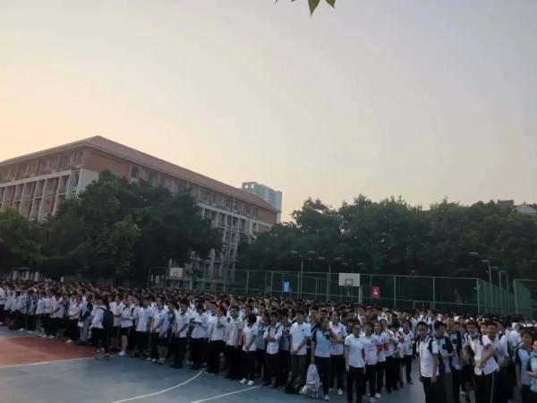 南宁|今天，南宁校园迎来一批小可爱！有你家的吗？