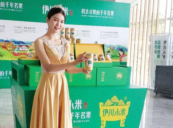 伊川|伊川：推出伊川小米品牌，打造中国富硒小米产业第一县