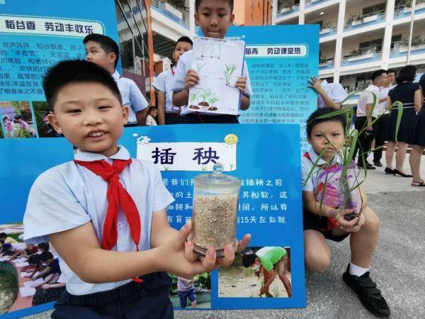 南宁市|元气满满新气象！南宁市中小学开学典礼精彩纷呈