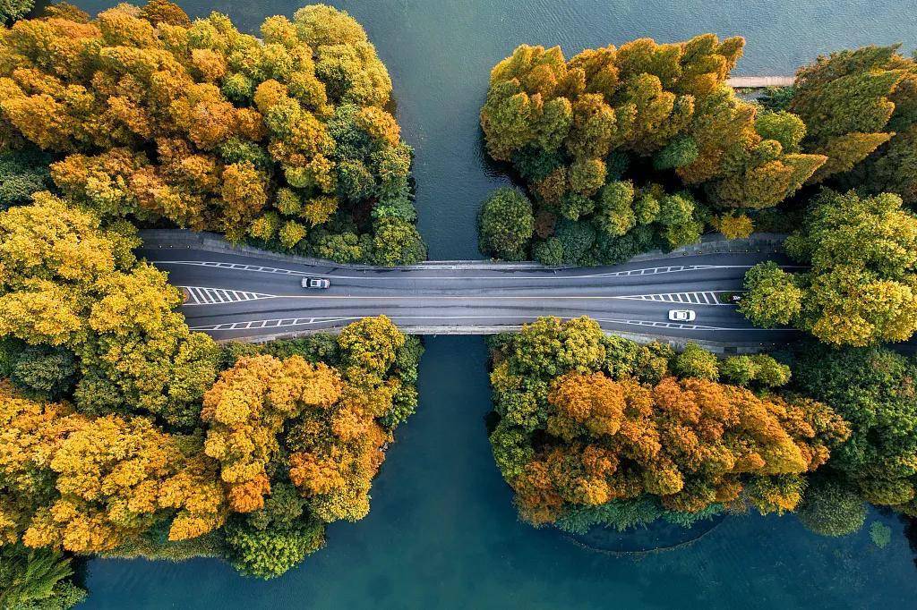 悠悠|那些深夜发的朋友圈，为什么又删掉了？