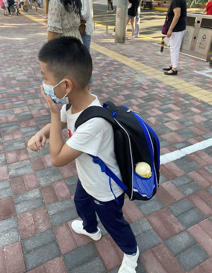 石家庄|中小学开学 石家庄上演现实版“小神兽”归笼