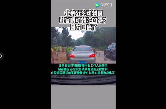 警方|游客在北京野生动物园给动物喂口罩？警方查清了！