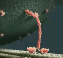 职业|我为什么反对把大学办成职业技校，或只培养学者的象牙塔