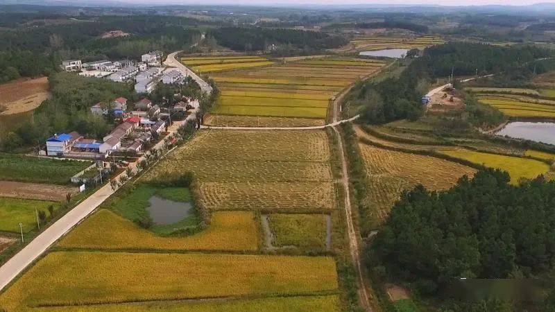 榜上有名滁州市1村入选全国乡村旅游重点村