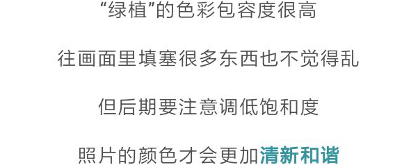 照片|颜值不够的女生，怎么拍出朋友圈点赞超高的照片？
