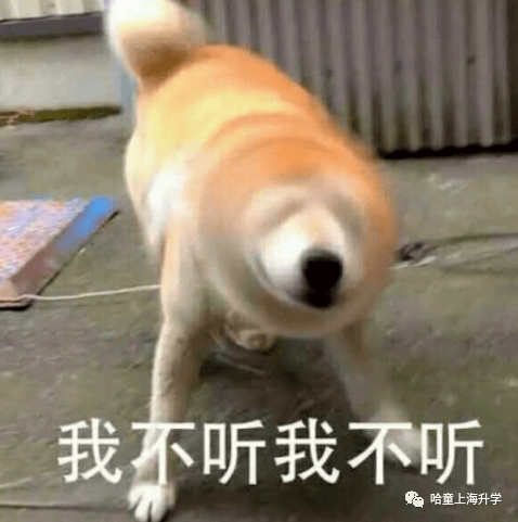 竞赛|华二不行了?“四校”大洗牌
