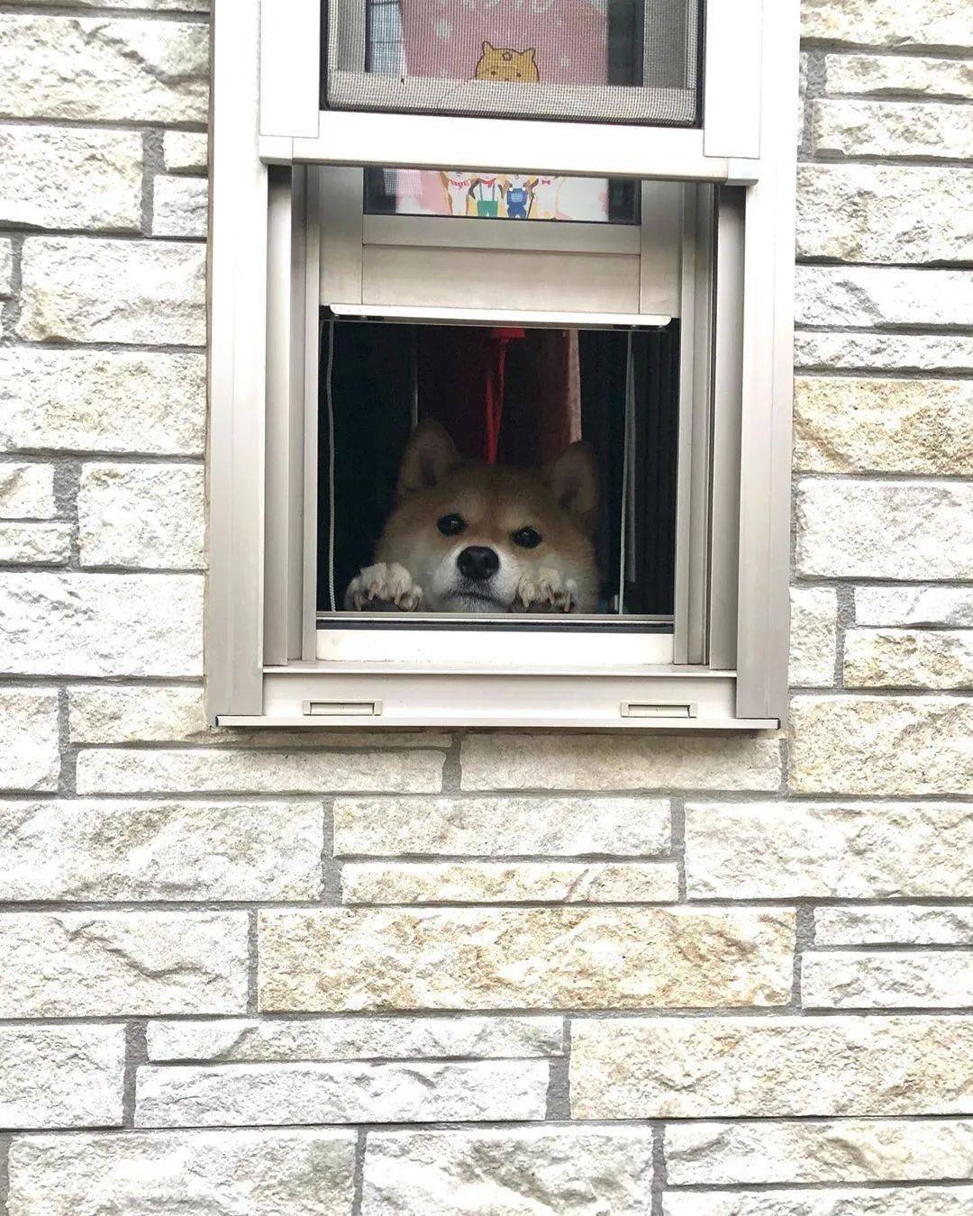 啥是小窗 6b565ec95bba47c9a6925fad3a7a2872.jpeg