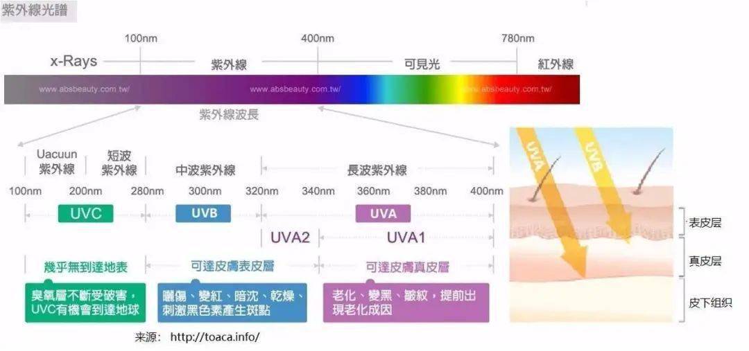 宣传周|市民健康科普宣传周 | 养儿不防老，防晒才防老！关于防晒的这些知识你要知道！