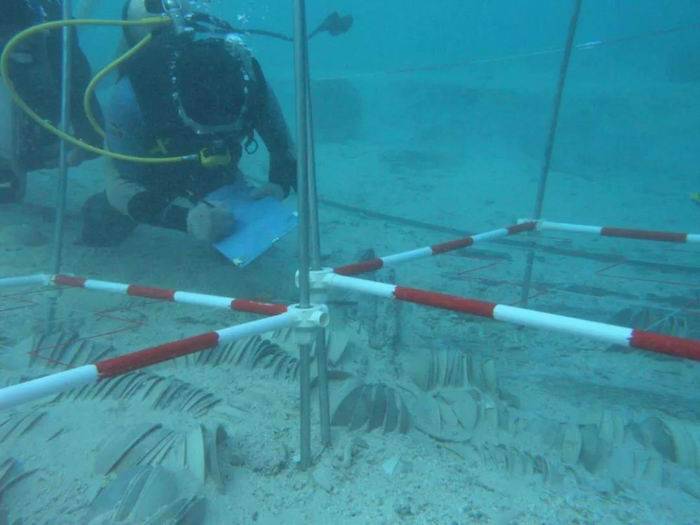 国博|国博“浮槎万里”：近三百文物呈现古代陶瓷海上贸易