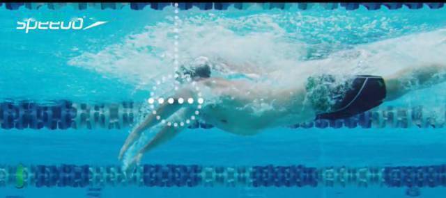 游泳|蝶泳—让你真的蝶起来！