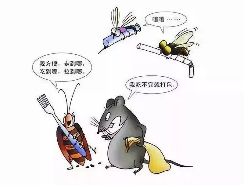 灭四害,防疾病,从你我做起(一)灭蚊篇