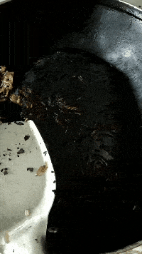 搞笑GIF动画:鱼:特么又是这只傻鸟,臭不要脸的,天天来洗屁股