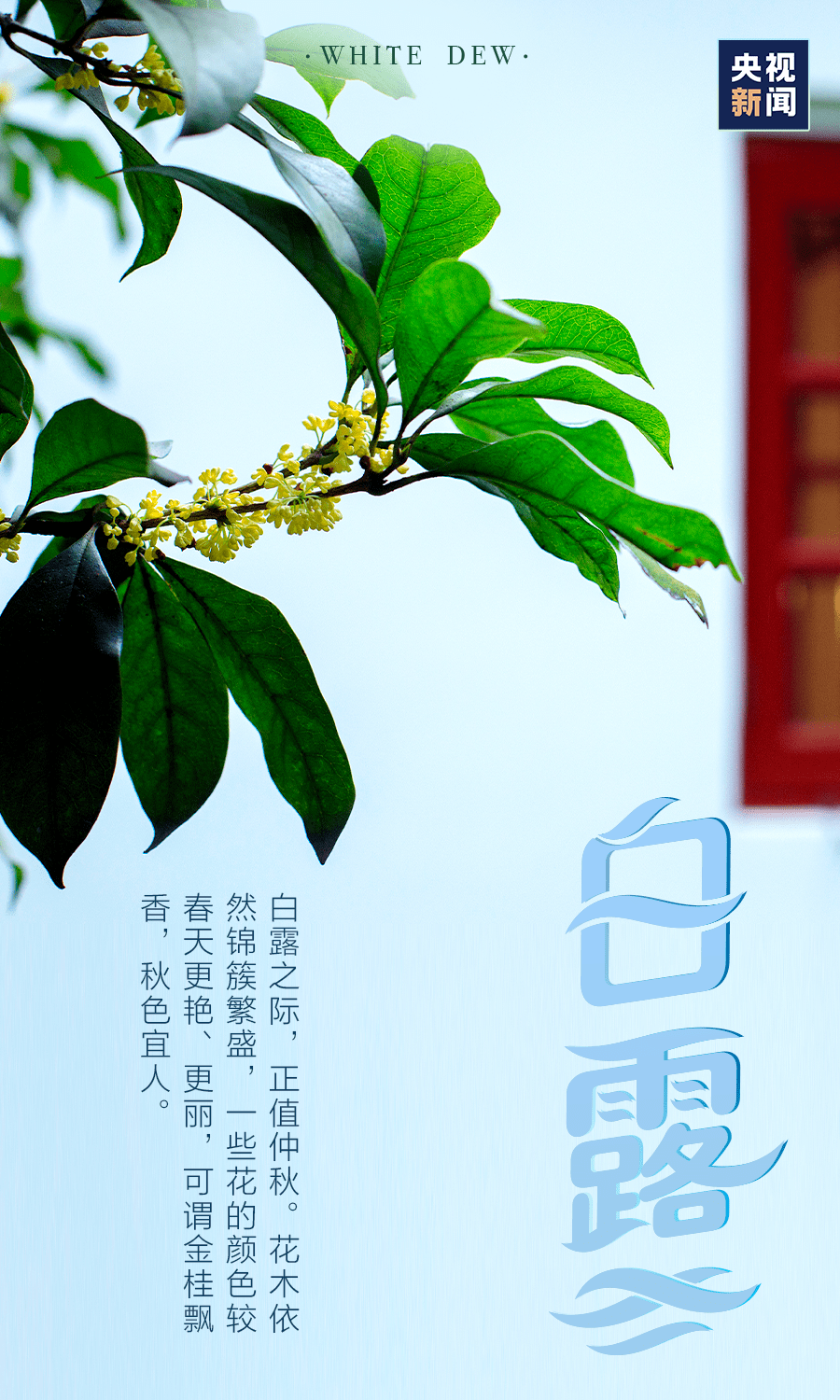b8410e17ec7d45be8e3267f56019acf7.png