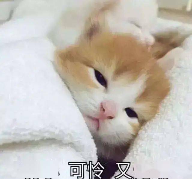 文章配图-2