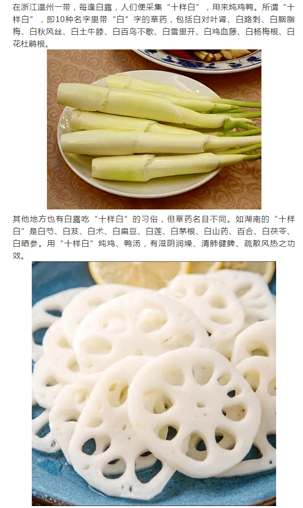 白露时节"白"为先 喝"十样白"润肺