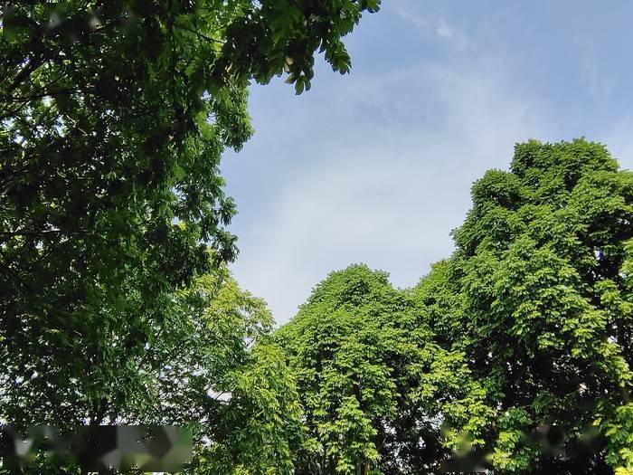 测评盘点|iQOO 5 Pro评测：手机里的赛车，出道直达巅峰！