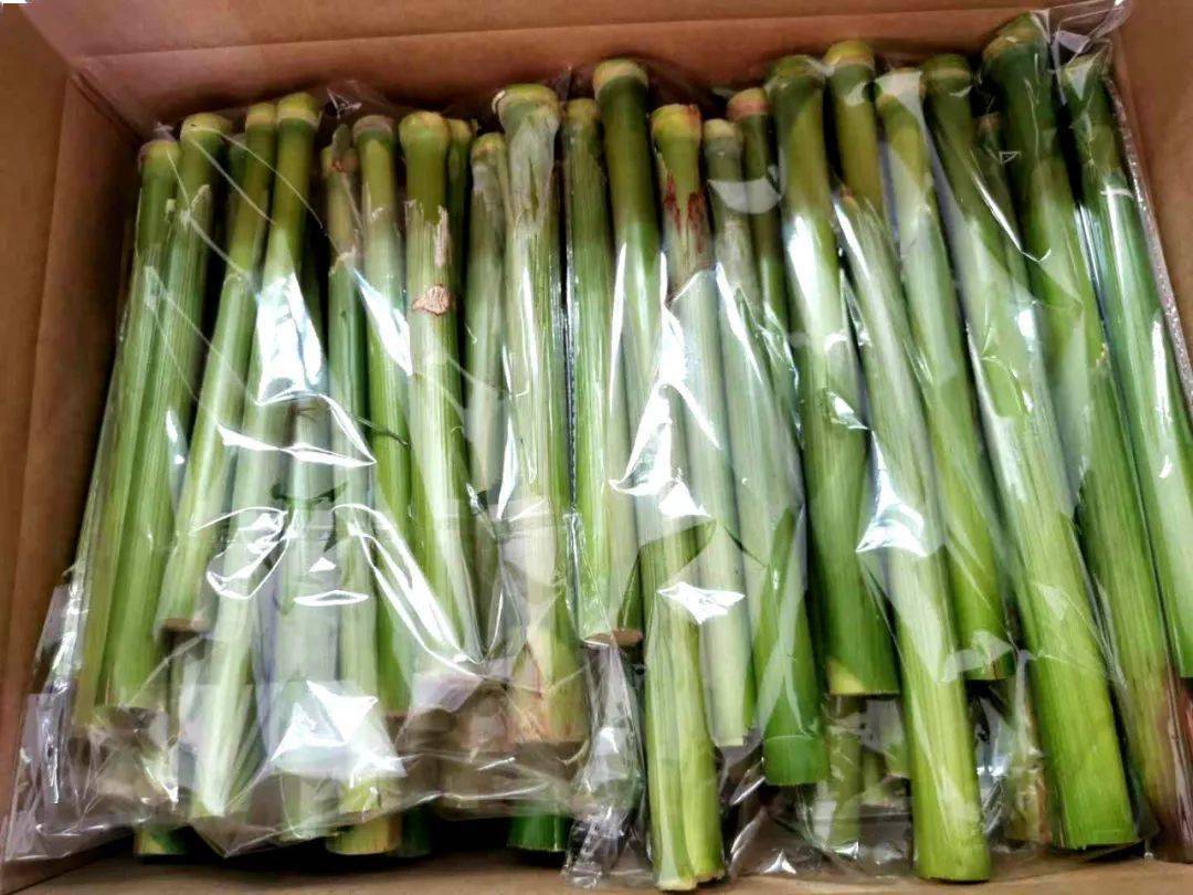 崇明|有一样自然赐予的好物超好吃~崇明这个农庄